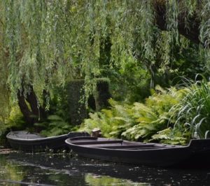Kähne im Spreewald Spreewaldfließ mit Kähnen
